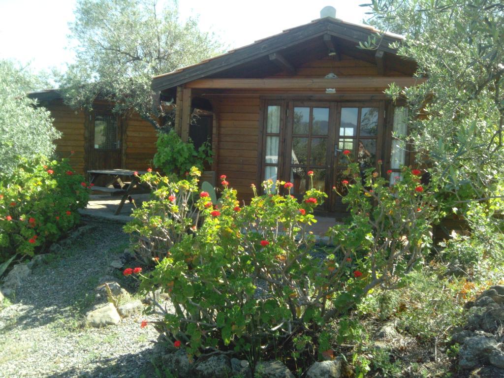 Finca La Piedra Holidays Alora Room photo