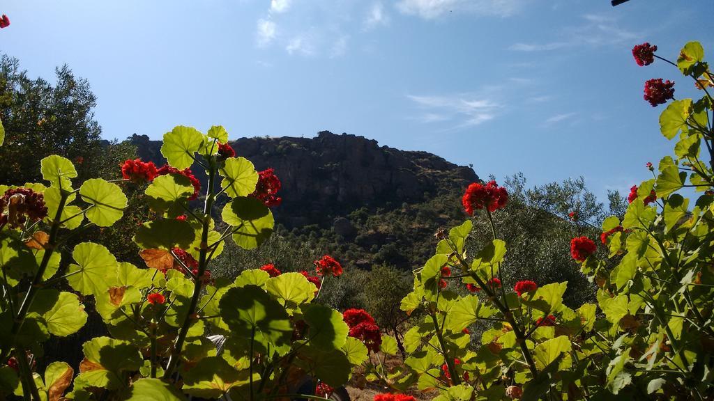 Finca La Piedra Holidays Alora Exterior photo